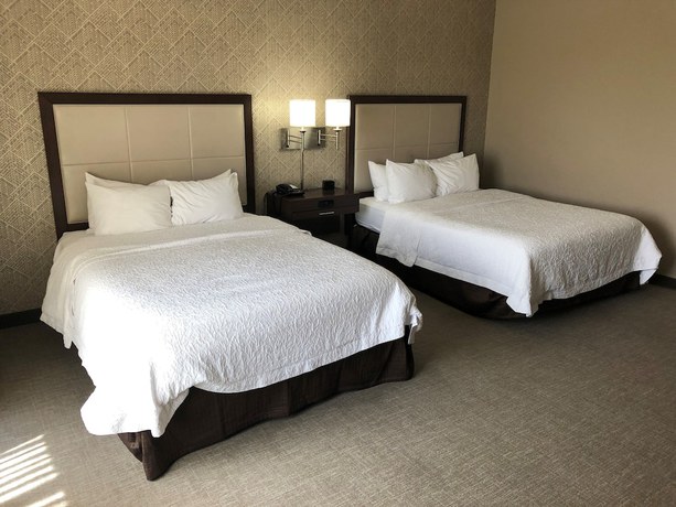 Imagen de la habitación del Hotel Hampton Inn And Suites Tampa Busch Gardens Area. Foto 16