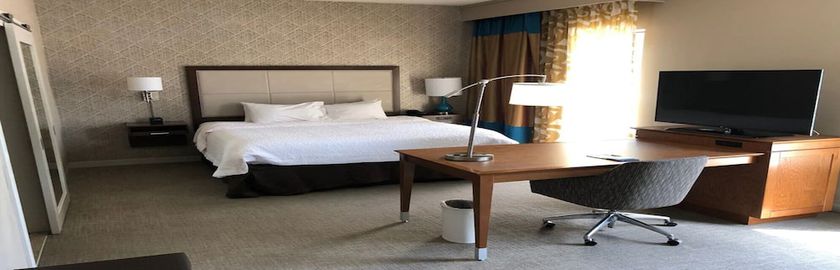 Imagen de la habitación del Hotel Hampton Inn And Suites Tampa Busch Gardens Area. Foto 17