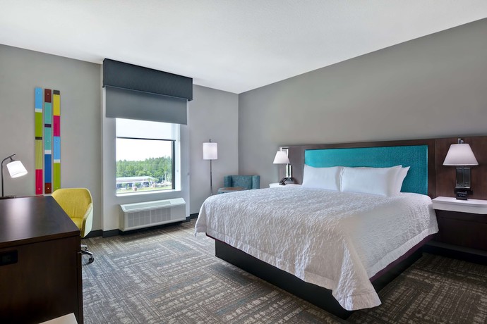 Imagen de la habitación del Hotel Hampton Inn And Suites Tampa Riverview Brandon. Foto 8