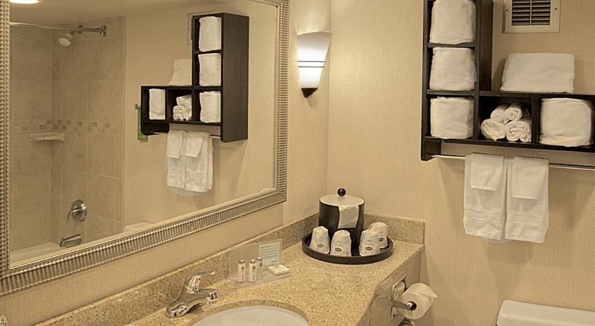 Imagen general del Hotel Hampton Inn Asheville I-26 Biltmore Area. Foto 13