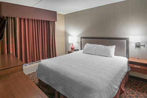 Imagen de la habitación del Hotel Hampton Inn At Tin Lizzie Gaming Resort. Foto 3