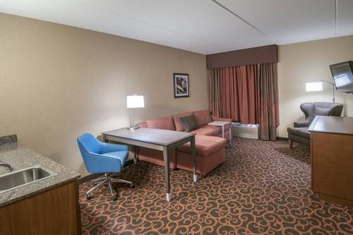 Imagen de la habitación del Hotel Hampton Inn At Tin Lizzie Gaming Resort. Foto 4