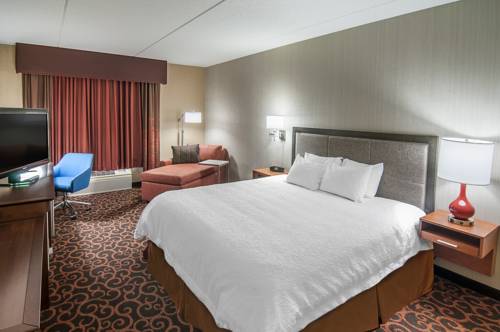 Imagen de la habitación del Hotel Hampton Inn At Tin Lizzie Gaming Resort. Foto 5