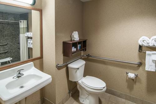 Imagen de la habitación del Hotel Hampton Inn At Tin Lizzie Gaming Resort. Foto 10