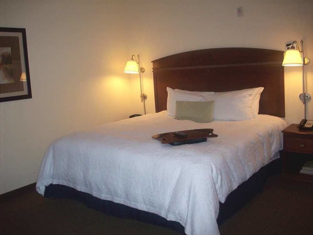 Imagen de la habitación del Hotel Hampton Inn Atlanta Fairburn. Foto 4