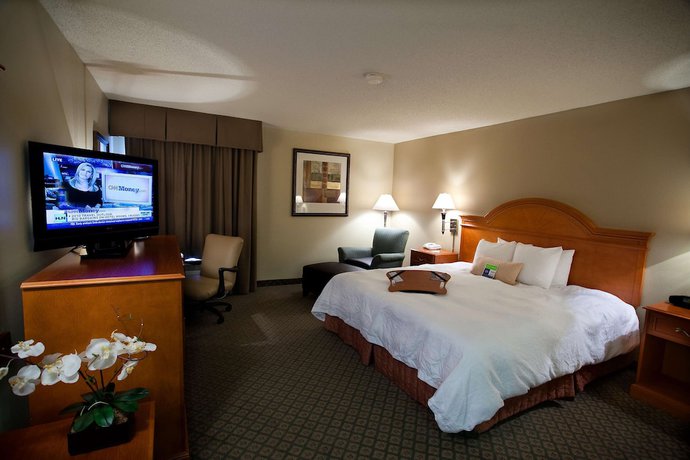 Imagen de la habitación del Hotel Hampton Inn Atlanta - Newnan. Foto 5