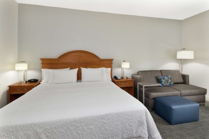 Imagen de la habitación del Hotel Hampton Inn Atlanta - Newnan. Foto 8