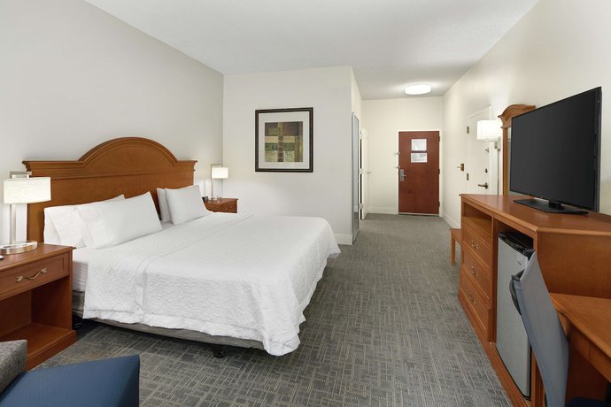 Imagen de la habitación del Hotel Hampton Inn Atlanta - Newnan. Foto 9