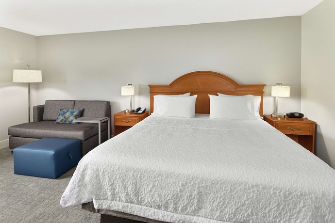 Imagen de la habitación del Hotel Hampton Inn Atlanta - Newnan. Foto 10