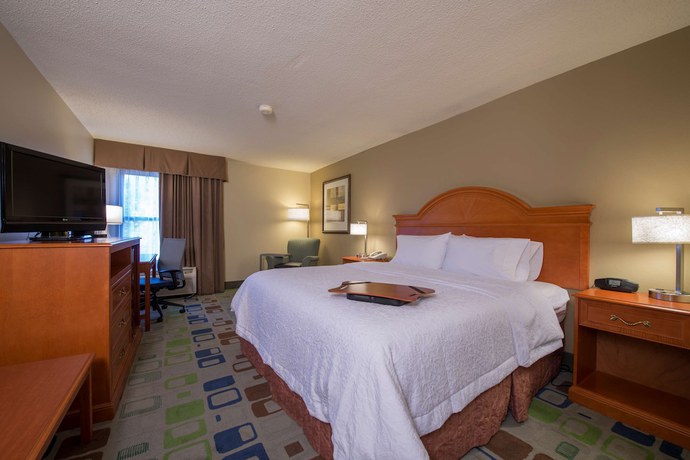 Imagen de la habitación del Hotel Hampton Inn Atlanta - Newnan. Foto 12
