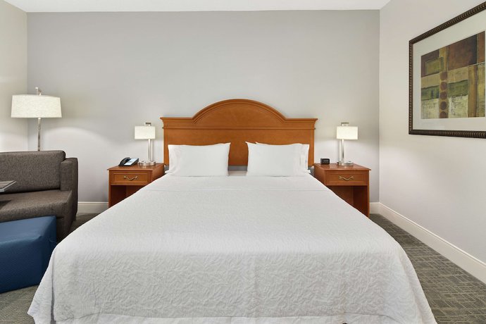 Imagen de la habitación del Hotel Hampton Inn Atlanta - Newnan. Foto 13