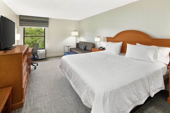 Imagen de la habitación del Hotel Hampton Inn Atlanta - Newnan. Foto 14
