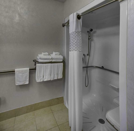 Imagen de la habitación del Hotel Hampton Inn Atlanta-georgia Tech-downtown. Foto 4