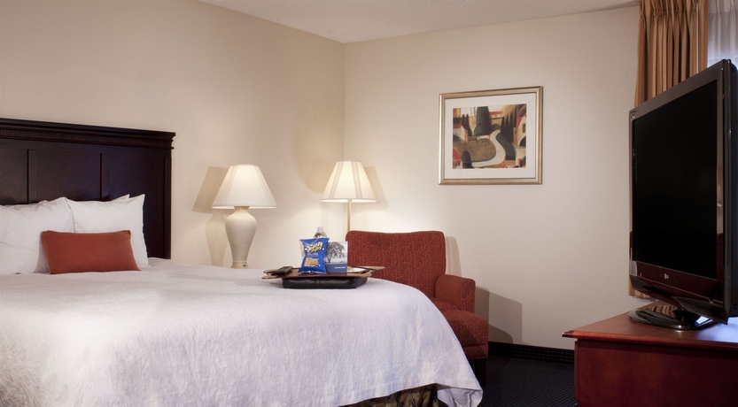 Imagen de la habitación del Hotel Hampton Inn Atlanta-mall Of Georgia. Foto 10