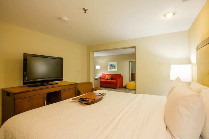 Imagen de la habitación del Hotel Hampton Inn Atlanta-northlake. Foto 4