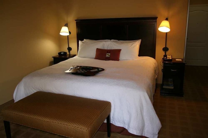 Imagen de la habitación del Hotel Hampton Inn Baton Rouge - Denham Springs. Foto 3