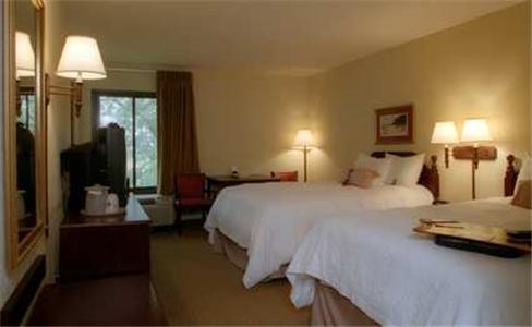 Imagen general del Hotel Hampton Inn Beaufort. Foto 8