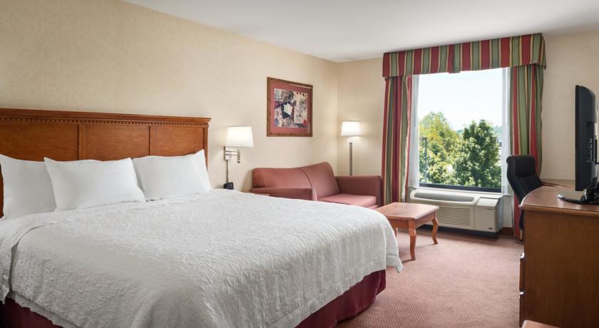 Imagen general del Hotel Hampton Inn Belle Vernon. Foto 11