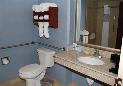 Imagen de la habitación del Hotel Hampton Inn Bentonville/rogers. Foto 8