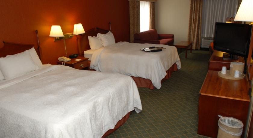 Imagen general del Hotel Hampton Inn Birch Run/frankenmuth. Foto 4