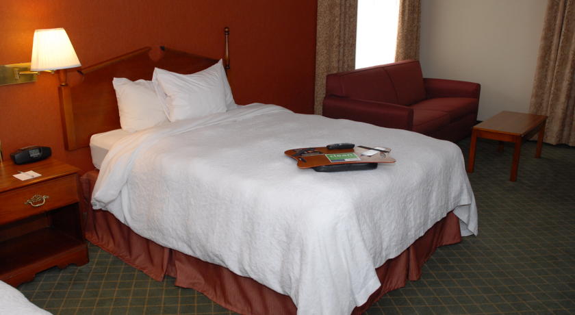Imagen general del Hotel Hampton Inn Birch Run/frankenmuth. Foto 6