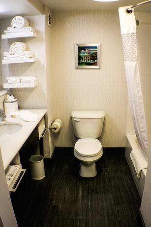 Imagen de la habitación del Hotel Hampton Inn Birmingham/trussville. Foto 6
