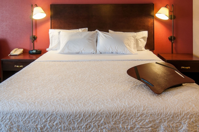 Imagen de la habitación del Hotel Hampton Inn Boise - Airport. Foto 5