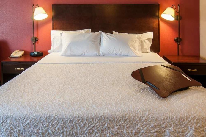 Imagen de la habitación del Hotel Hampton Inn Boise - Airport. Foto 9