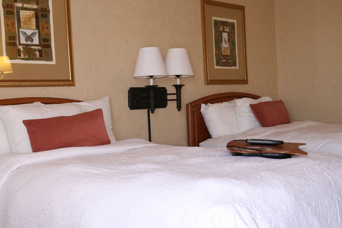 Imagen de la habitación del Hotel Hampton Inn Boston - Logan Airport. Foto 7