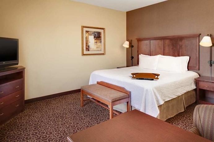 Imagen de la habitación del Hotel Hampton Inn Branson - Branson Hills. Foto 7