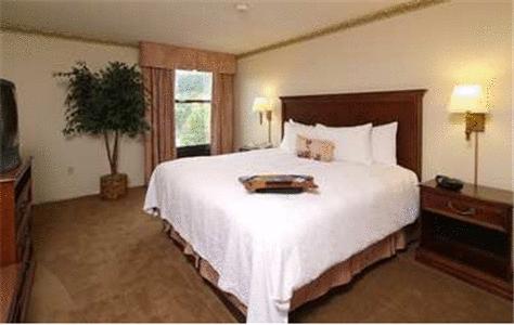 Imagen general del Hotel Hampton Inn Bristol. Foto 4