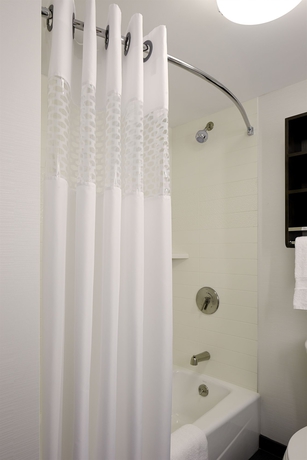 Imagen de la habitación del Hotel Hampton Inn Brooklyn/downtown. Foto 10