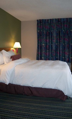 Imagen de la habitación del Hotel Hampton Inn Brooksville Dade. Foto 13