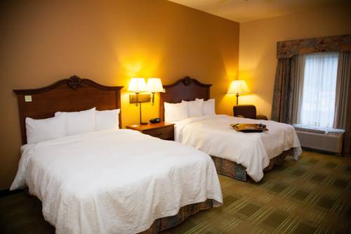 Imagen de la habitación del Hotel Hampton Inn Brownwood. Foto 2