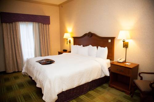 Imagen de la habitación del Hotel Hampton Inn Brownwood. Foto 3