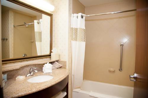 Imagen de la habitación del Hotel Hampton Inn Brownwood. Foto 6