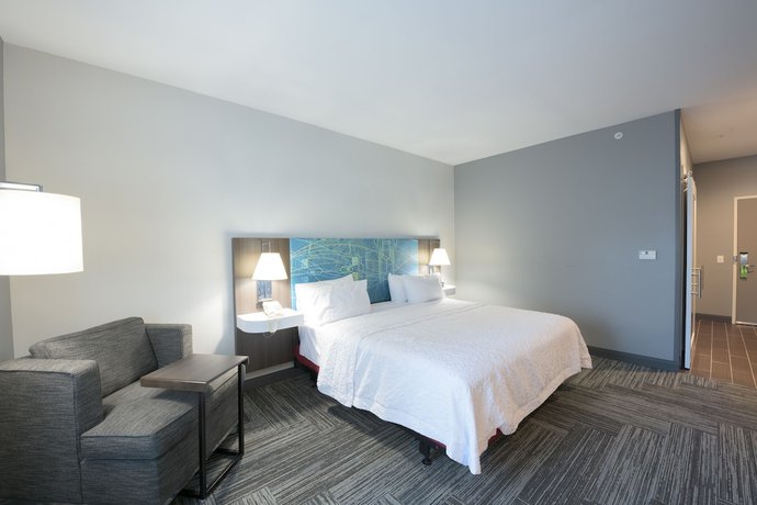 Imagen de la habitación del Hotel Hampton Inn Buffalo-Hamburg. Foto 15