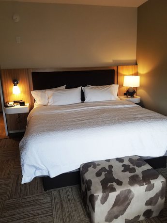 Imagen de la habitación del Hotel Hampton Inn Bulverde Texas Hill Country. Foto 14