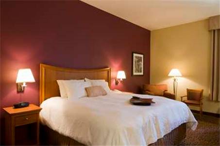 Imagen de la habitación del Hotel Hampton Inn Butte. Foto 7