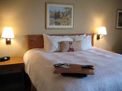 Imagen de la habitación del Hotel Hampton Inn Butte. Foto 8