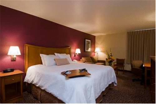 Imagen de la habitación del Hotel Hampton Inn Butte. Foto 11