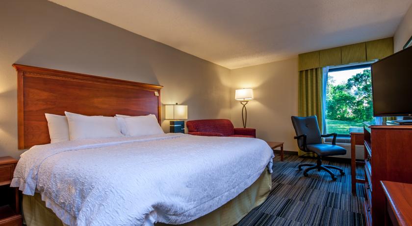 Imagen general del Hotel Hampton Inn By Hilton Bowling Green. Foto 6