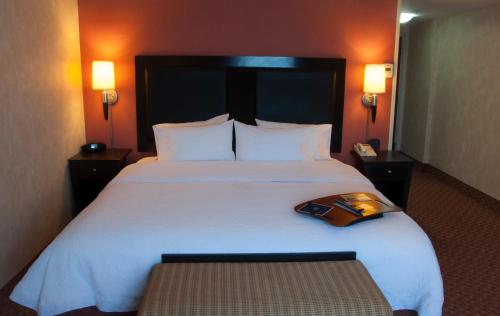 Imagen de la habitación del Hotel Hampton Inn By Hilton Ciudad Victoria. Foto 6