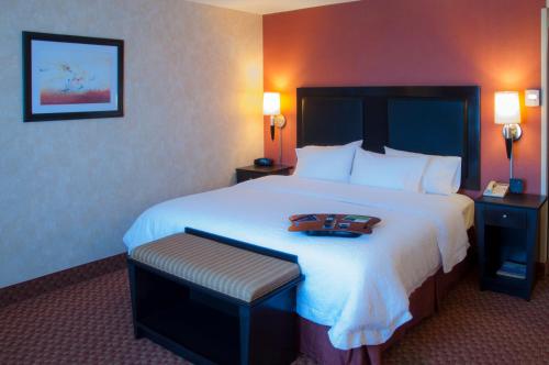 Imagen general del Hotel Hampton Inn By Hilton Ciudad Victoria. Foto 2