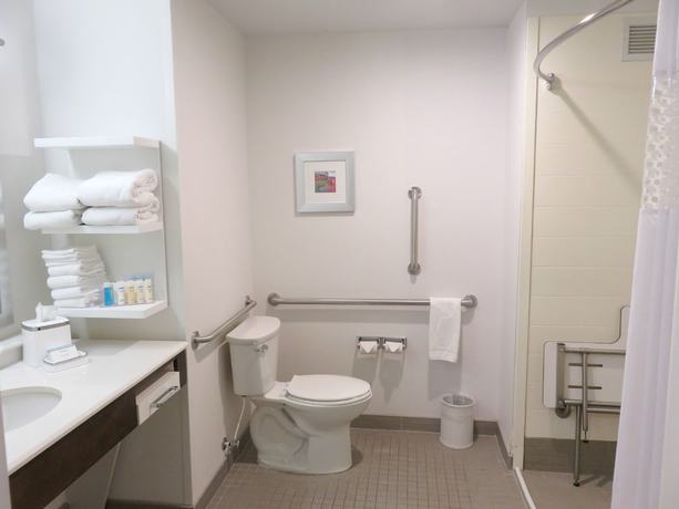 Imagen de la habitación del Hotel Hampton Inn By Hilton Detroit Dearborn. Foto 15
