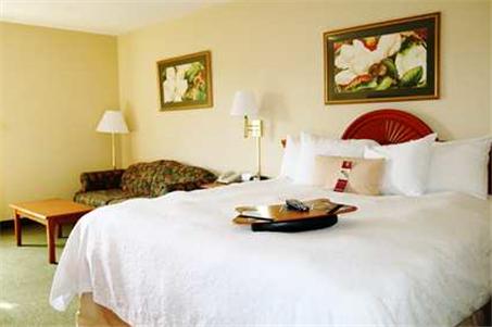 Imagen general del Hotel Hampton Inn By Hilton Hopewell Fort Gregg-adams. Foto 5