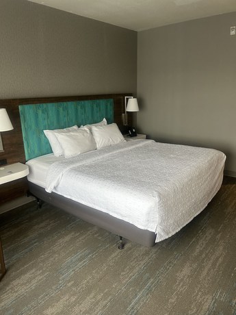 Imagen de la habitación del Hotel Hampton Inn By Hilton Kingston. Foto 6