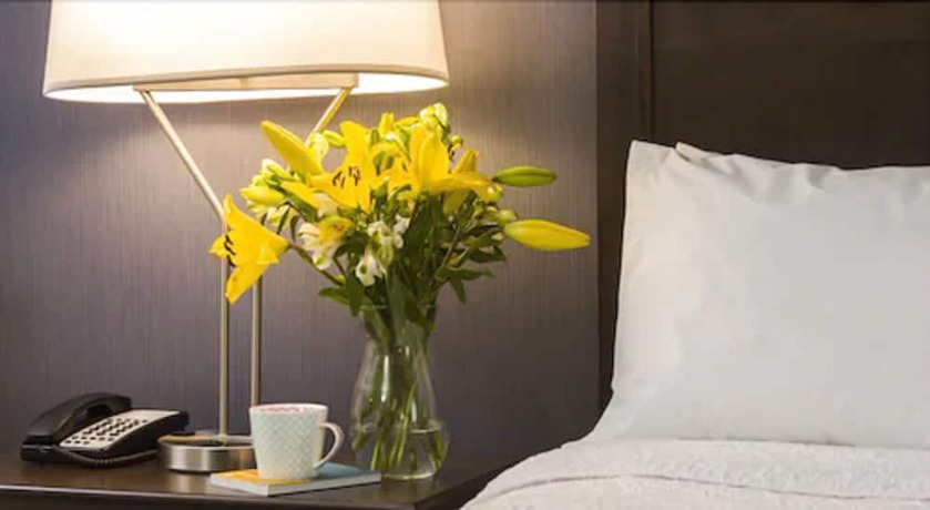 Imagen de la habitación del Hotel Hampton Inn By Hilton Ottawa Airport, On, Cn. Foto 7