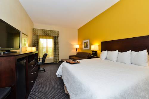 Imagen de la habitación del Hotel Hampton Inn By Hilton Petersburg Ft. Gregg Adams. Foto 4