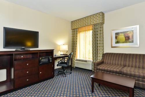 Imagen de la habitación del Hotel Hampton Inn By Hilton Petersburg Ft. Gregg Adams. Foto 7